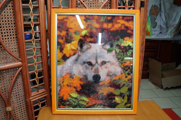 Алмазная мозайка "Волк" в оранжевой багетной рамке