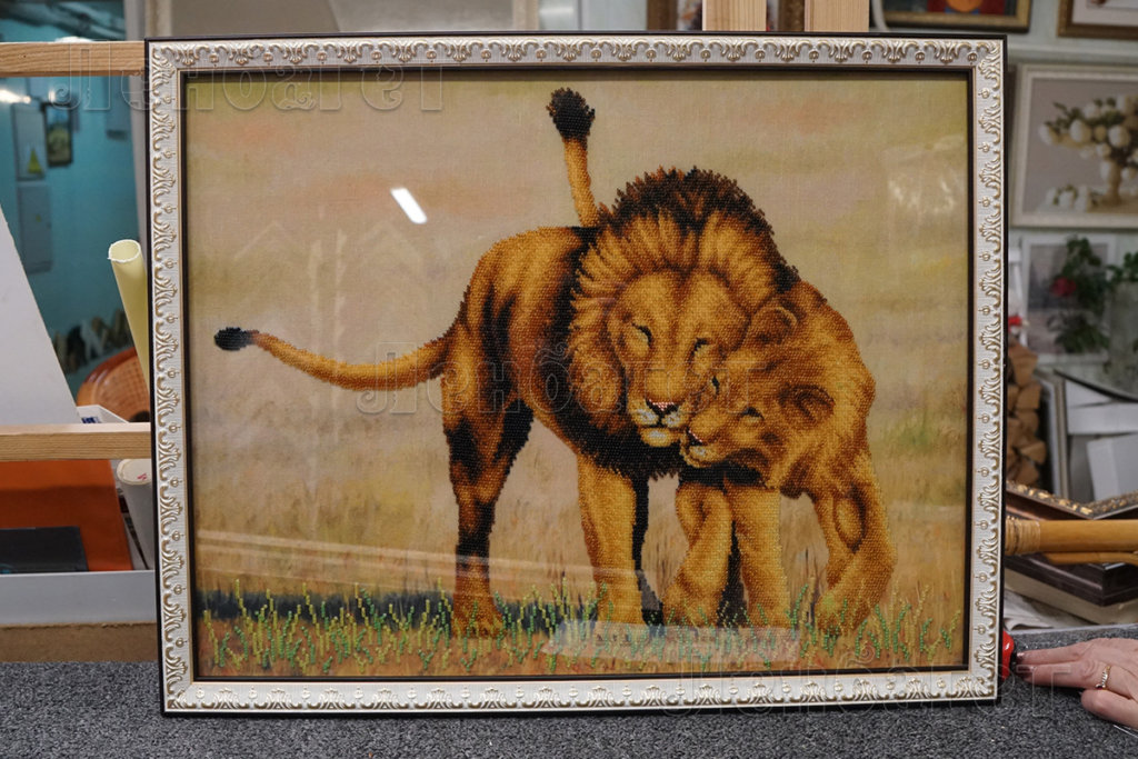 Картина "Львы" в серебристой багетной рамке