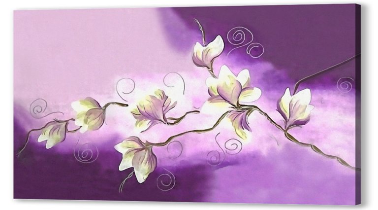 Белые орхидеи на фиолетовом фоне