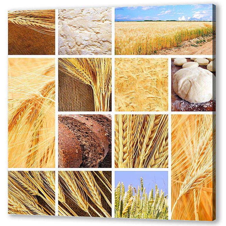 Коллаж пшеница и хлеб