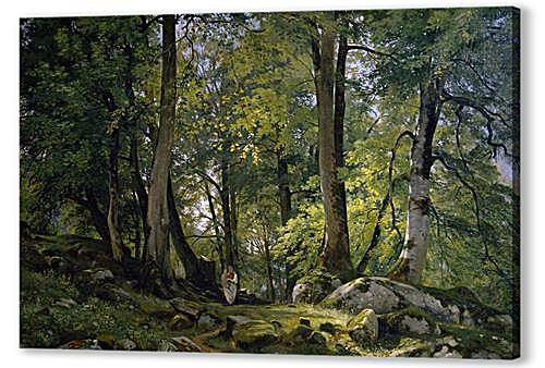 Картина Буковый лес в Швейцарии