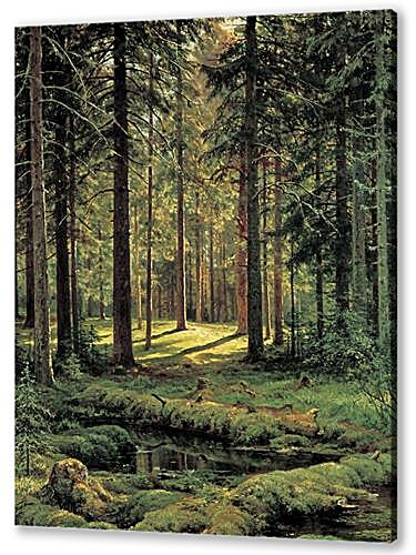 Картина Хвойный лес. Солнечный день