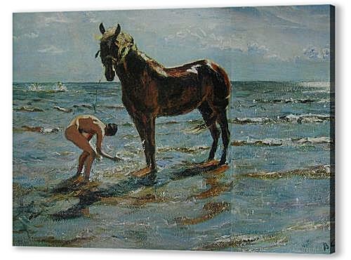 Картина Купание коня