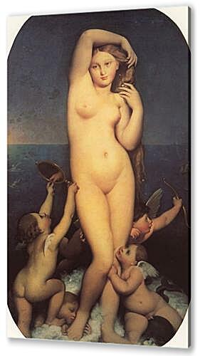 Картина Венера Анадиомена (Venus Anadyomene)