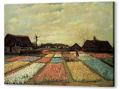 Картина Луковичные поля (Цветник в Голландии) (Bulb Fields)